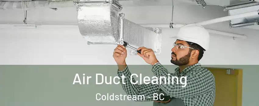  Air Duct Cleaning Coldstream - BC