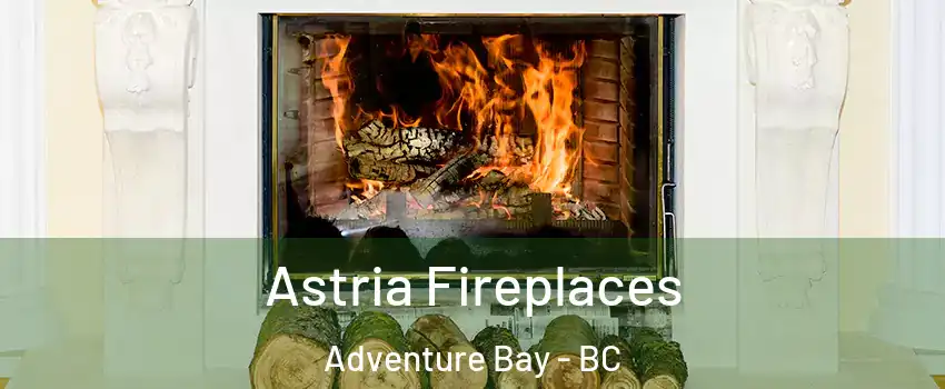  Astria Fireplaces Adventure Bay - BC