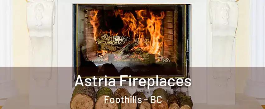  Astria Fireplaces Foothills - BC
