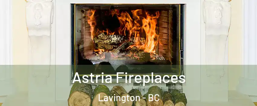  Astria Fireplaces Lavington - BC