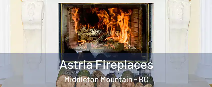  Astria Fireplaces Middleton Mountain - BC