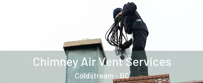  Chimney Air Vent Services Coldstream - BC