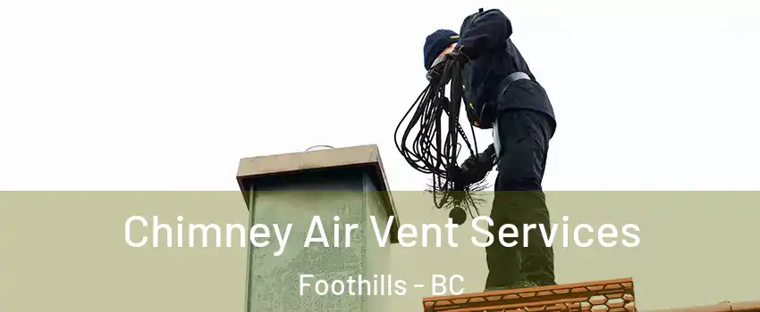  Chimney Air Vent Services Foothills - BC