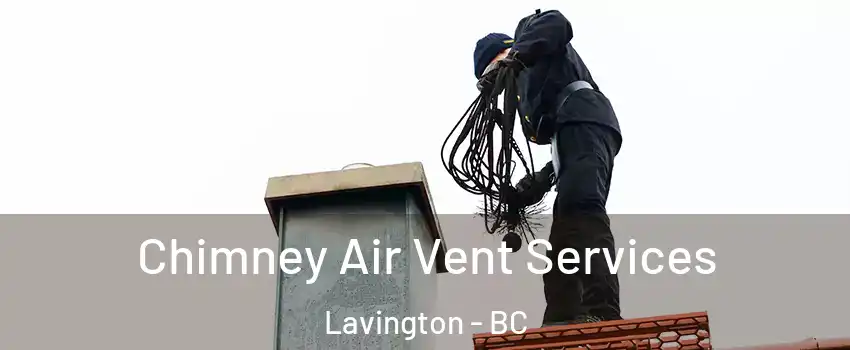  Chimney Air Vent Services Lavington - BC
