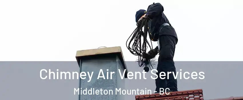  Chimney Air Vent Services Middleton Mountain - BC