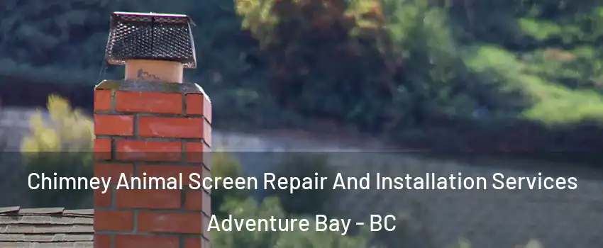  Chimney Animal Screen Repair And Installation Services Adventure Bay - BC