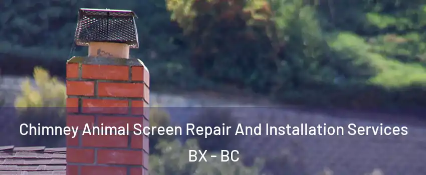  Chimney Animal Screen Repair And Installation Services BX - BC