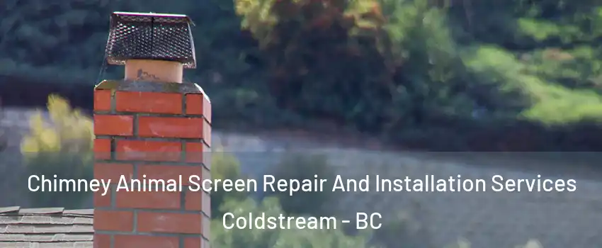  Chimney Animal Screen Repair And Installation Services Coldstream - BC