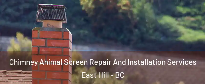 Chimney Animal Screen Repair And Installation Services East Hill - BC