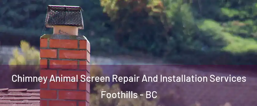  Chimney Animal Screen Repair And Installation Services Foothills - BC