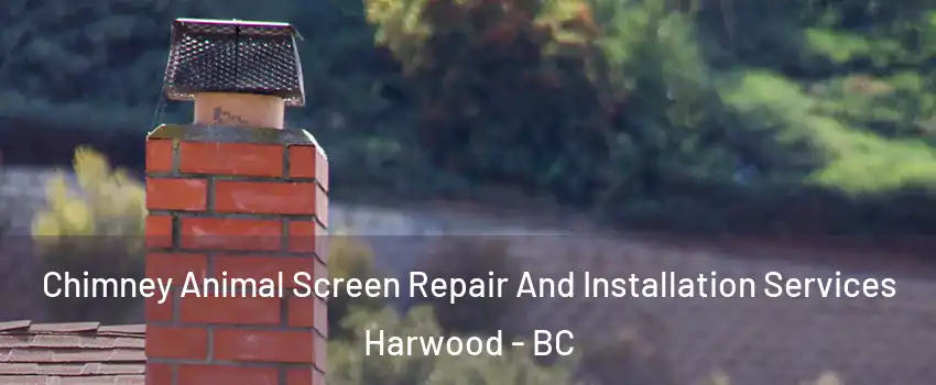  Chimney Animal Screen Repair And Installation Services Harwood - BC