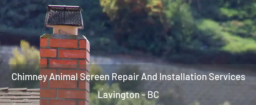  Chimney Animal Screen Repair And Installation Services Lavington - BC
