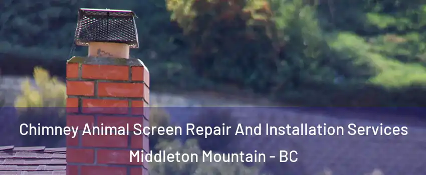  Chimney Animal Screen Repair And Installation Services Middleton Mountain - BC