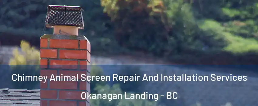  Chimney Animal Screen Repair And Installation Services Okanagan Landing - BC
