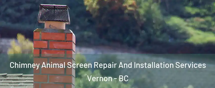  Chimney Animal Screen Repair And Installation Services Vernon - BC