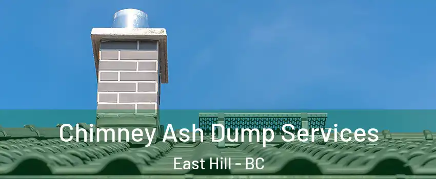  Chimney Ash Dump Services East Hill - BC