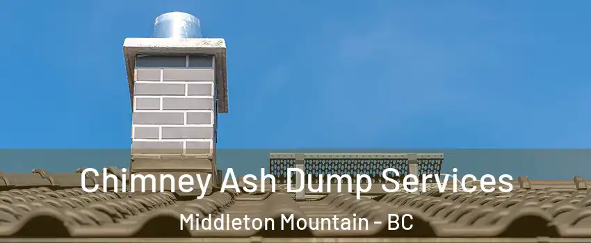  Chimney Ash Dump Services Middleton Mountain - BC