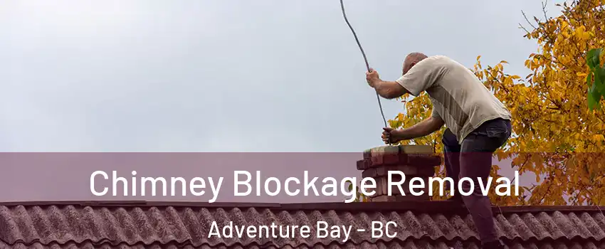  Chimney Blockage Removal Adventure Bay - BC