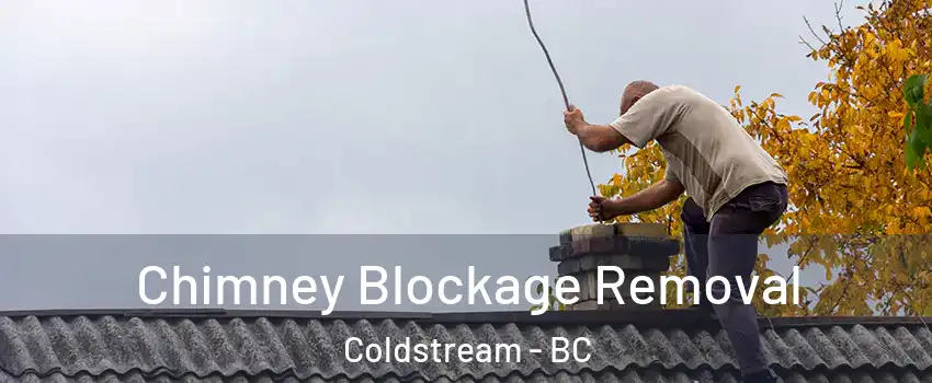  Chimney Blockage Removal Coldstream - BC