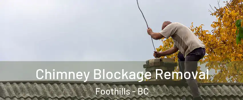  Chimney Blockage Removal Foothills - BC