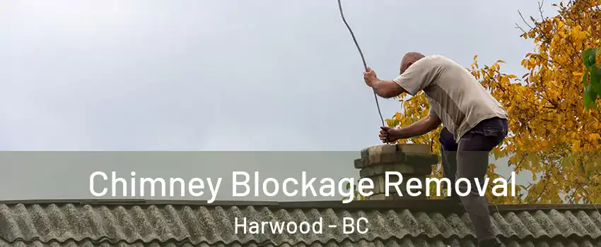  Chimney Blockage Removal Harwood - BC