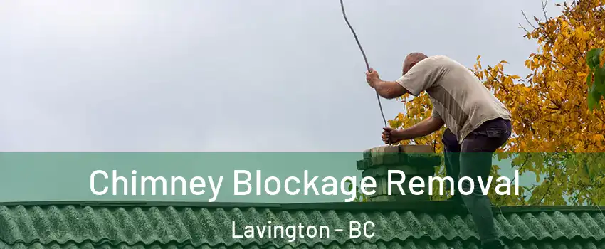  Chimney Blockage Removal Lavington - BC