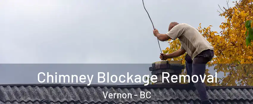  Chimney Blockage Removal Vernon - BC