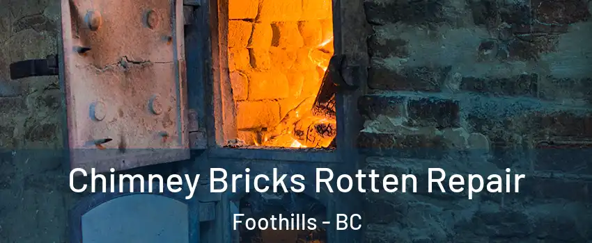  Chimney Bricks Rotten Repair Foothills - BC
