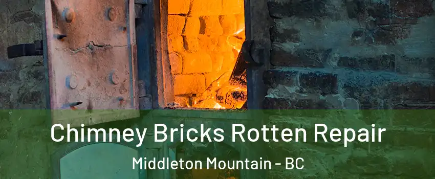  Chimney Bricks Rotten Repair Middleton Mountain - BC