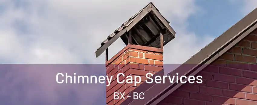 Chimney Cap Services BX - BC