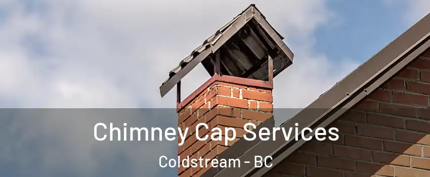  Chimney Cap Services Coldstream - BC