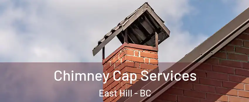  Chimney Cap Services East Hill - BC