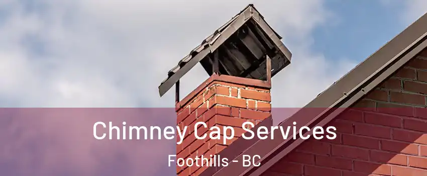  Chimney Cap Services Foothills - BC