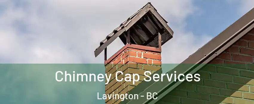  Chimney Cap Services Lavington - BC