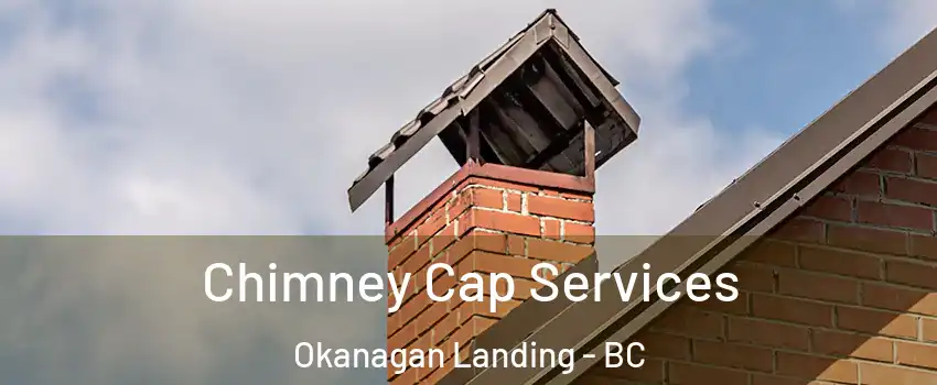  Chimney Cap Services Okanagan Landing - BC