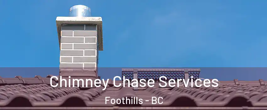  Chimney Chase Services Foothills - BC