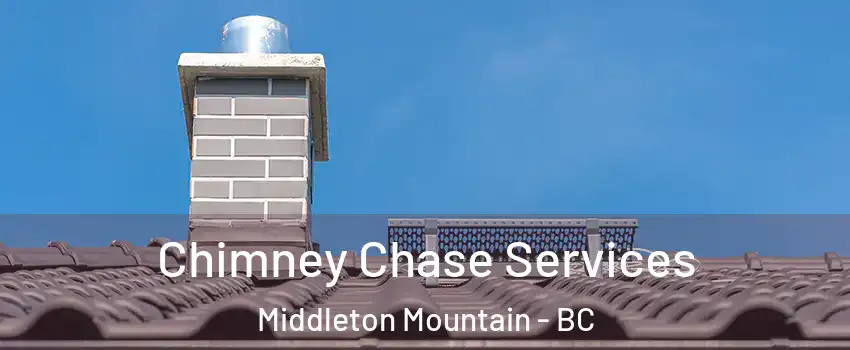  Chimney Chase Services Middleton Mountain - BC