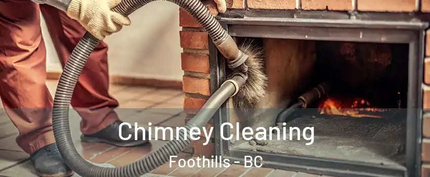  Chimney Cleaning Foothills - BC