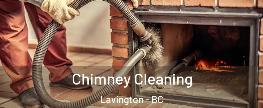  Chimney Cleaning Lavington - BC