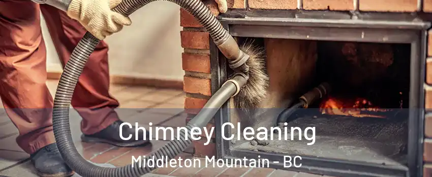  Chimney Cleaning Middleton Mountain - BC