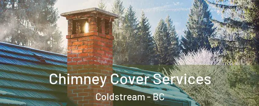  Chimney Cover Services Coldstream - BC