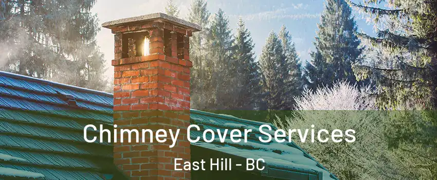  Chimney Cover Services East Hill - BC