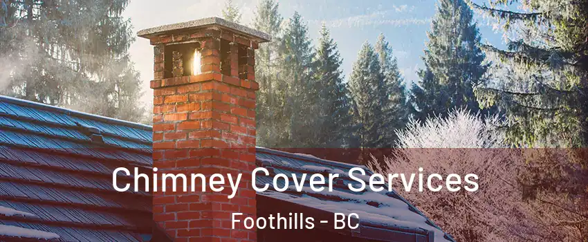  Chimney Cover Services Foothills - BC
