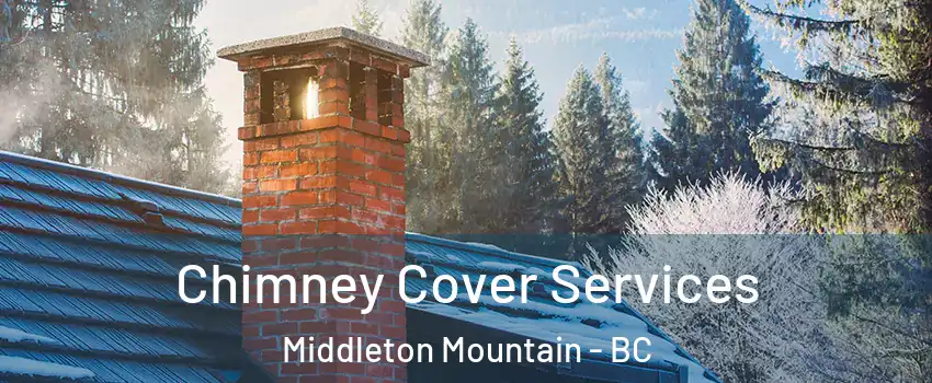  Chimney Cover Services Middleton Mountain - BC