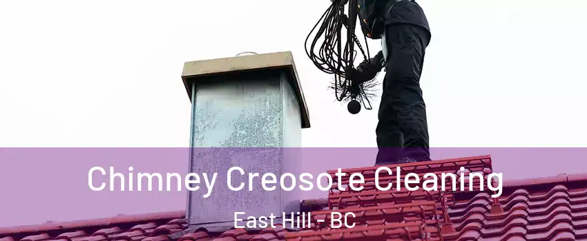  Chimney Creosote Cleaning East Hill - BC