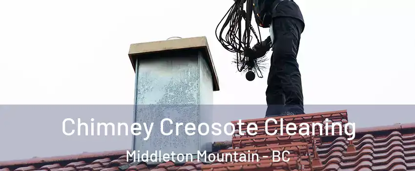  Chimney Creosote Cleaning Middleton Mountain - BC