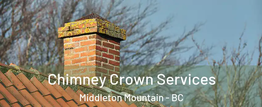  Chimney Crown Services Middleton Mountain - BC