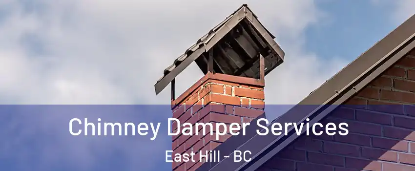  Chimney Damper Services East Hill - BC