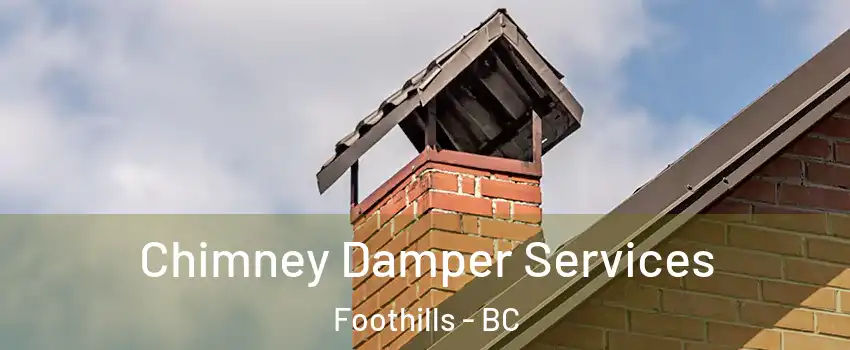  Chimney Damper Services Foothills - BC