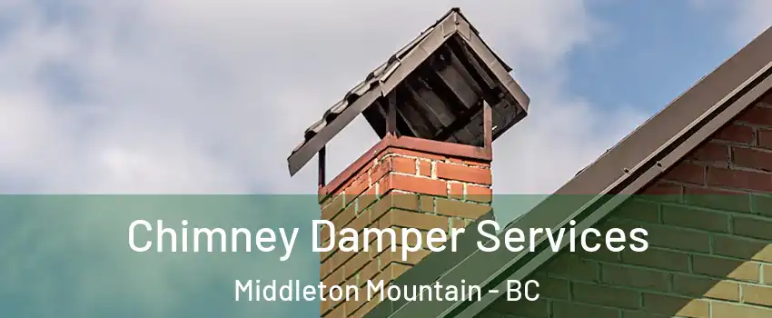  Chimney Damper Services Middleton Mountain - BC